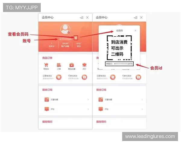 掌握ag登录官网会员注册技巧，轻松获得完整会员权限和优质体验