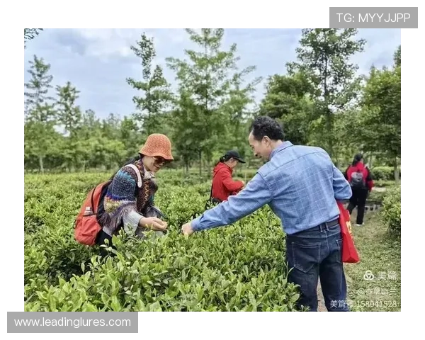 AG现金客户端下载指南，帮助新手快速上手畅玩无限乐趣