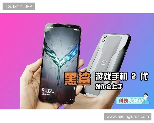 凯发真人版全站登录流程详解让新手玩家快速上手游戏体验