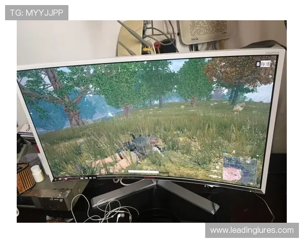 提升玩ag技巧会员登录效率的实用技巧让你轻松应对登录难题畅玩无忧