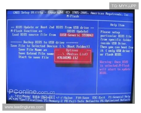 详细解析AG视讯官网地址及其安全性，帮助玩家轻松辨别正规平台